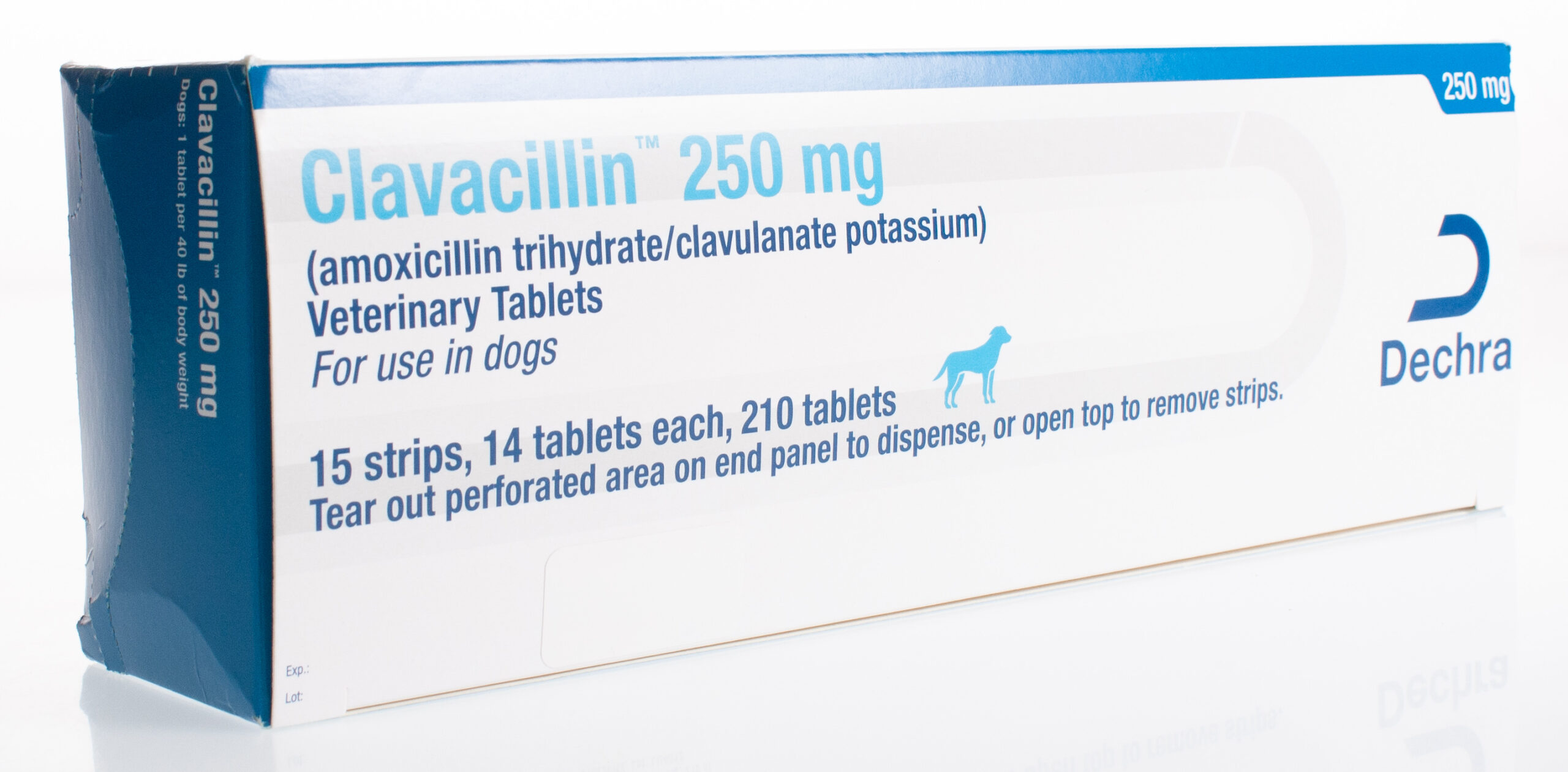 Clavacillin